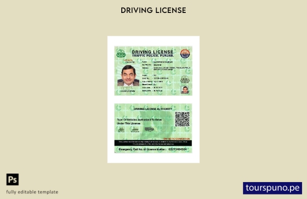 Listo para imprimir la plantilla actual del permiso de conducir de India Punjab